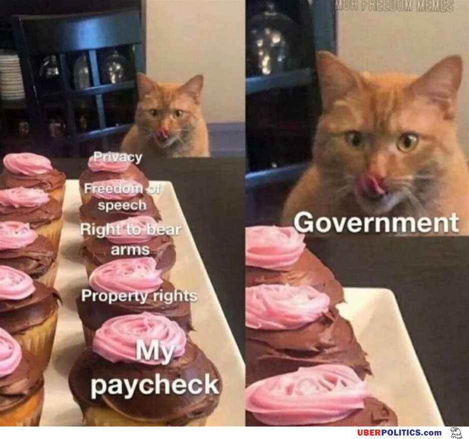 Government