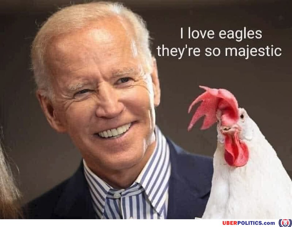 Joe Biden Is Not A Smart Man