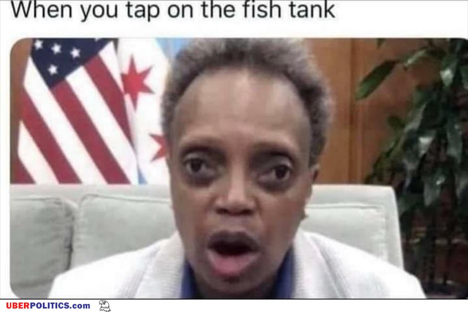 Tap On The Fish Tank