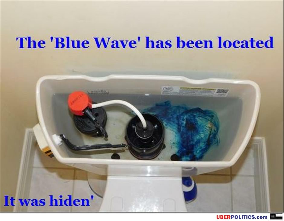 The Blue Wave