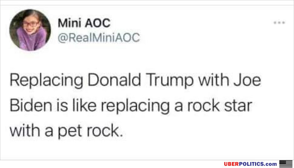 The Pet Rock