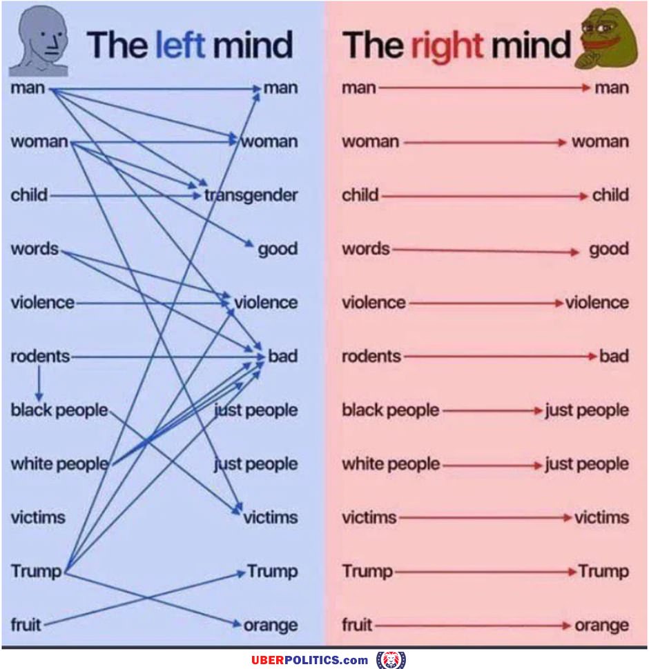 The Democrat Mind