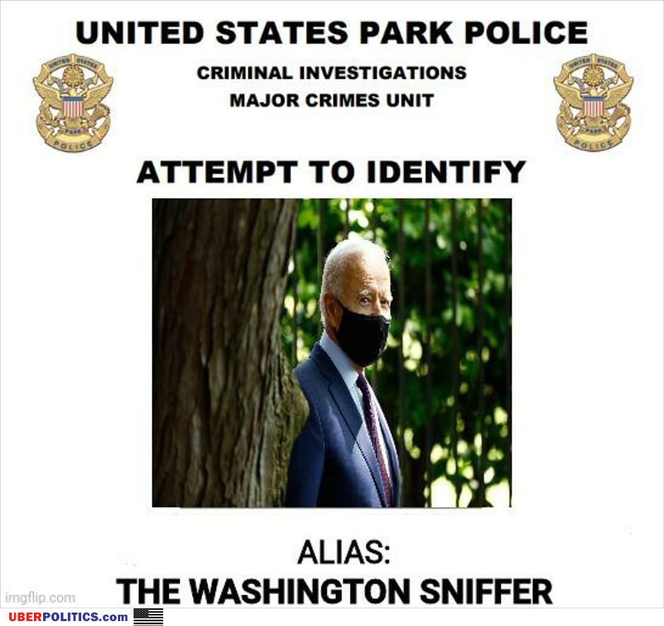 Washington Sniffer