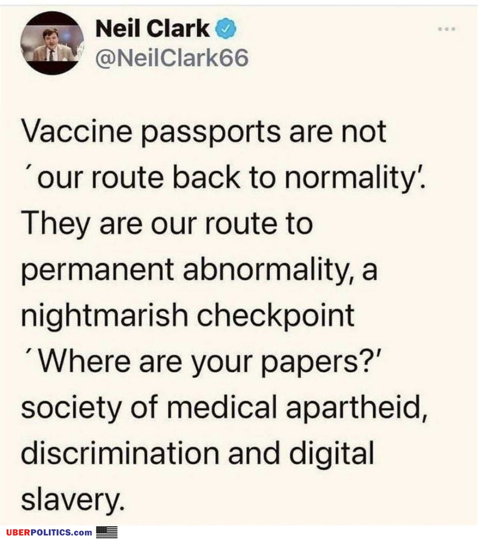 Vaccine Passports