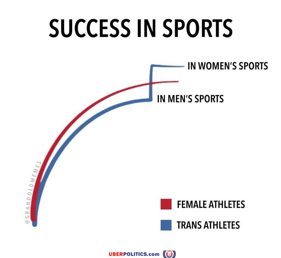 Success In Sports