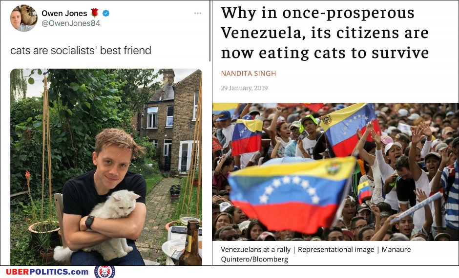 Socialists Love Cats