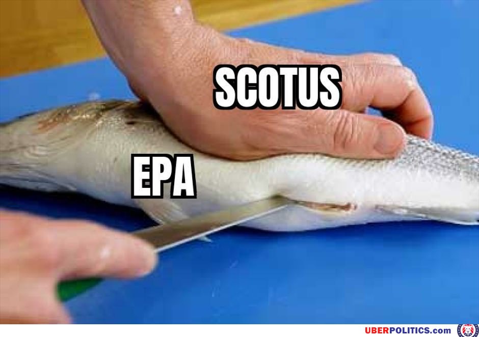 Scotus