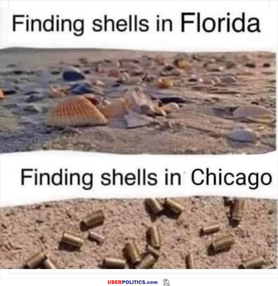 Shells