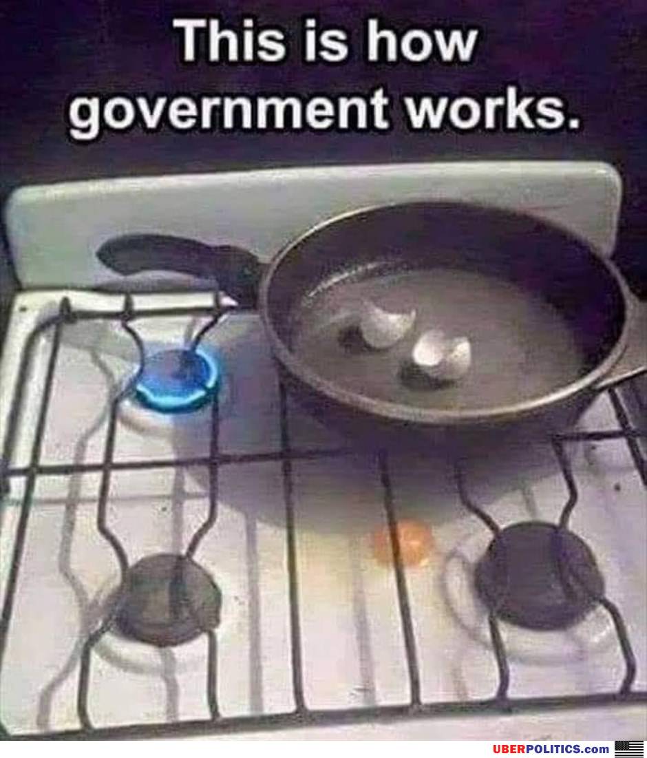 How Government Works