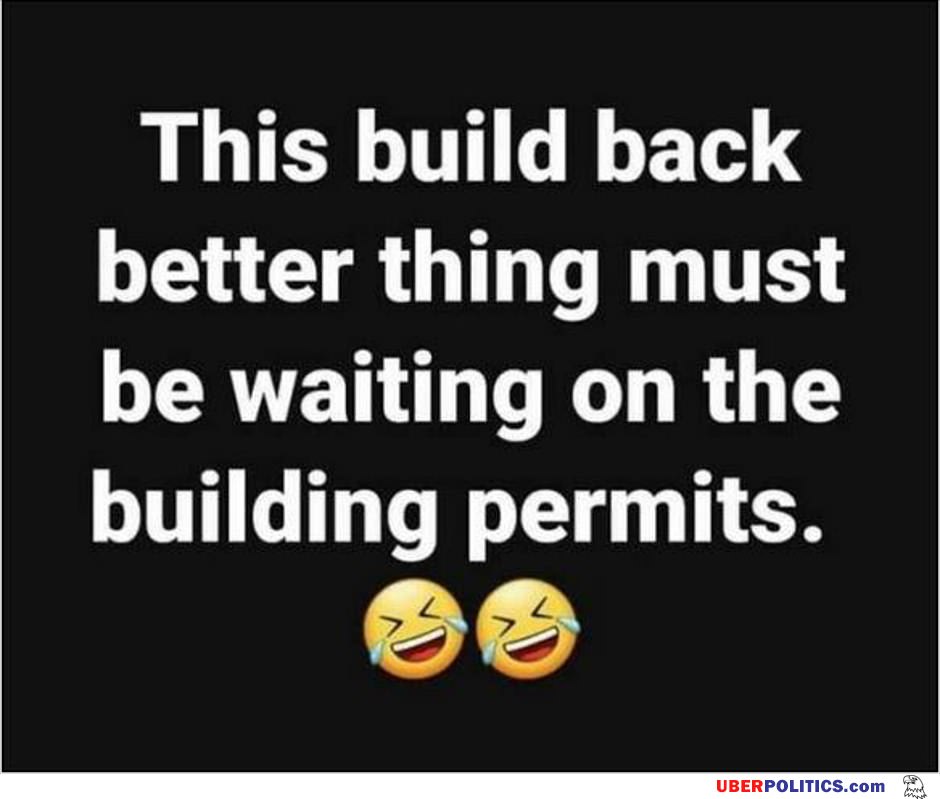 Build Back Better Thing