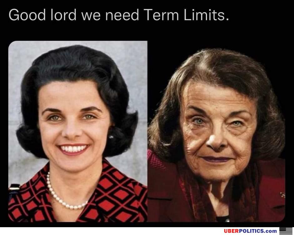 Term Limits Now