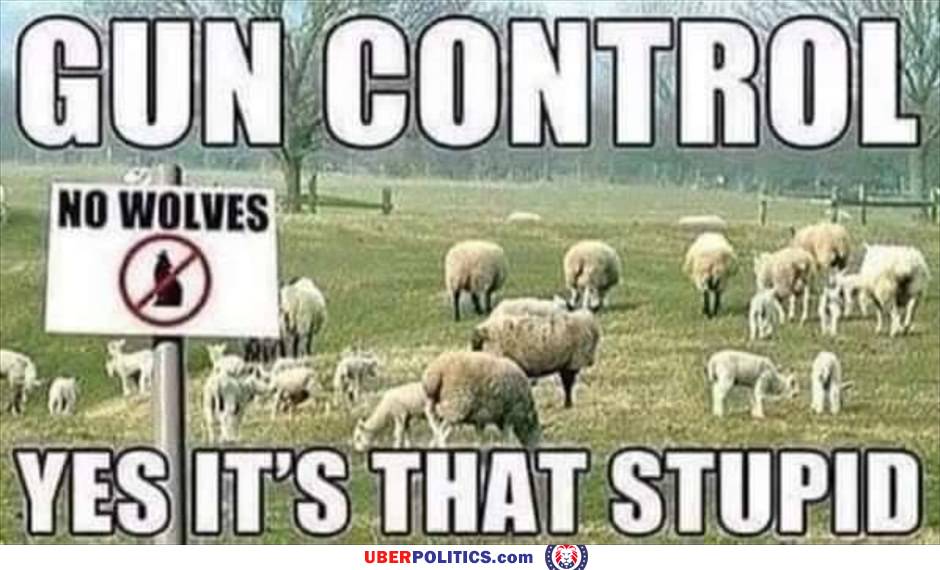 Gun Control