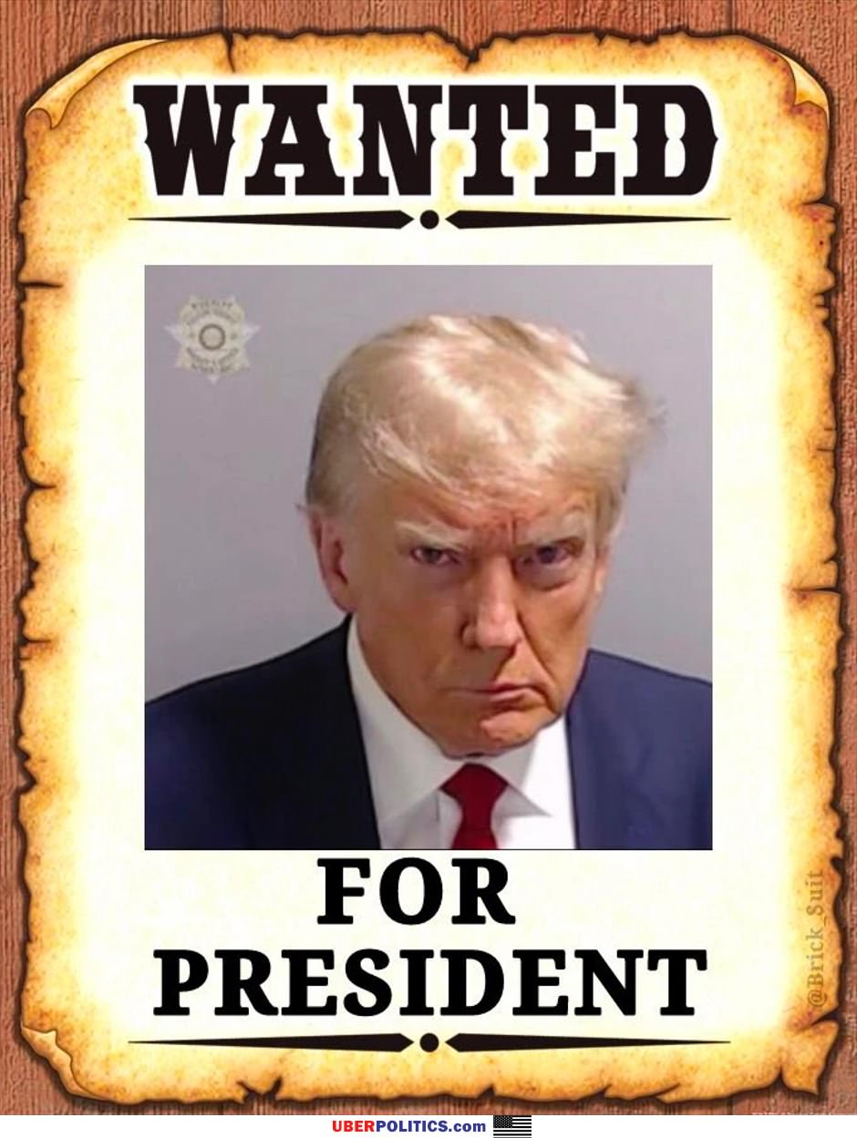 Wanted For President