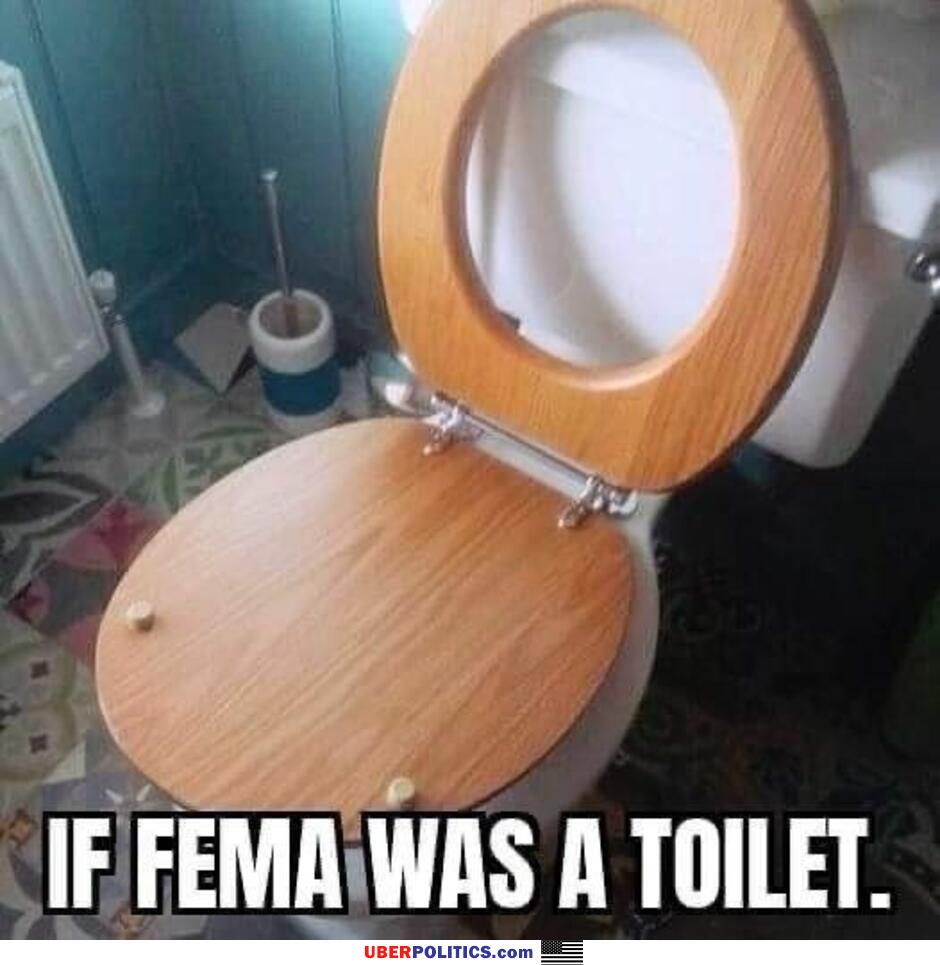 If Fema Was A Toilet