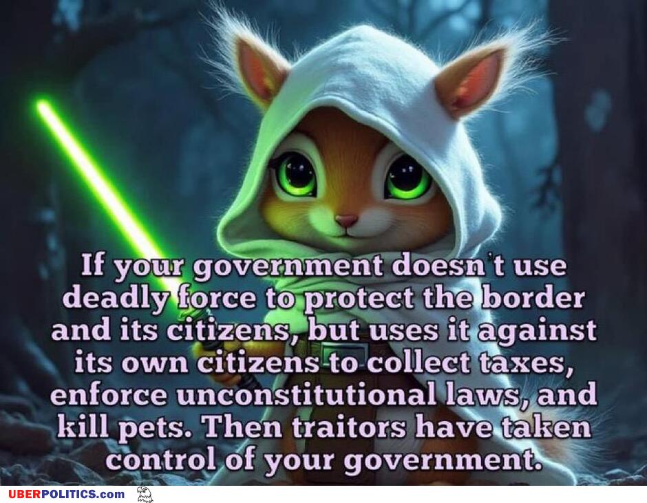 Your Government